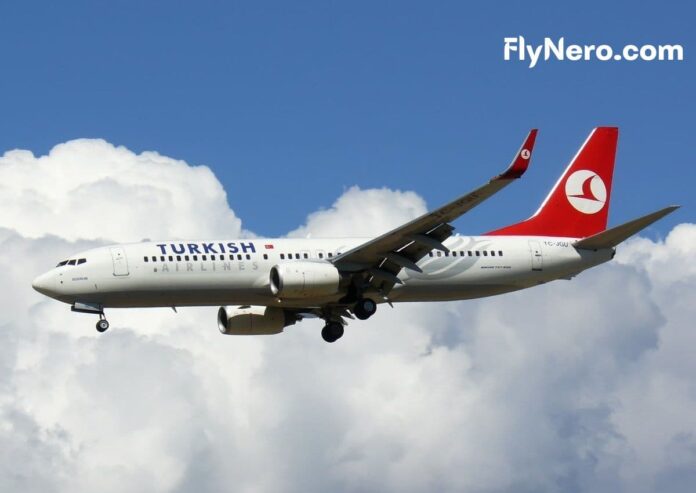 Turkish Airlines Flights Cheap Deals and Travel Tips Turkish Airlines Flights Cheap Deals and Travel Tips